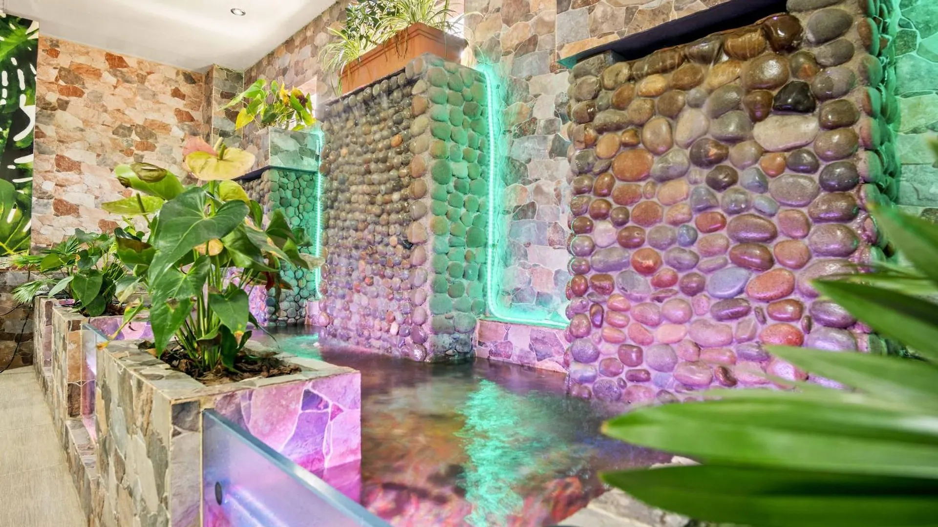 Hotel Eco Suite Cali 3*,